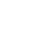 money icon